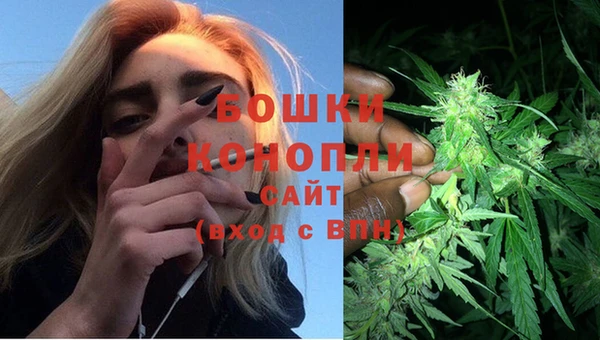 хмурый Вяземский